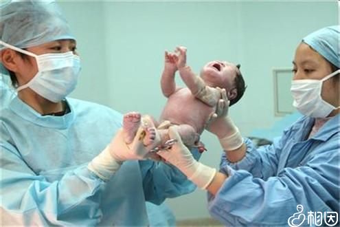 体外受精 IVF-ET